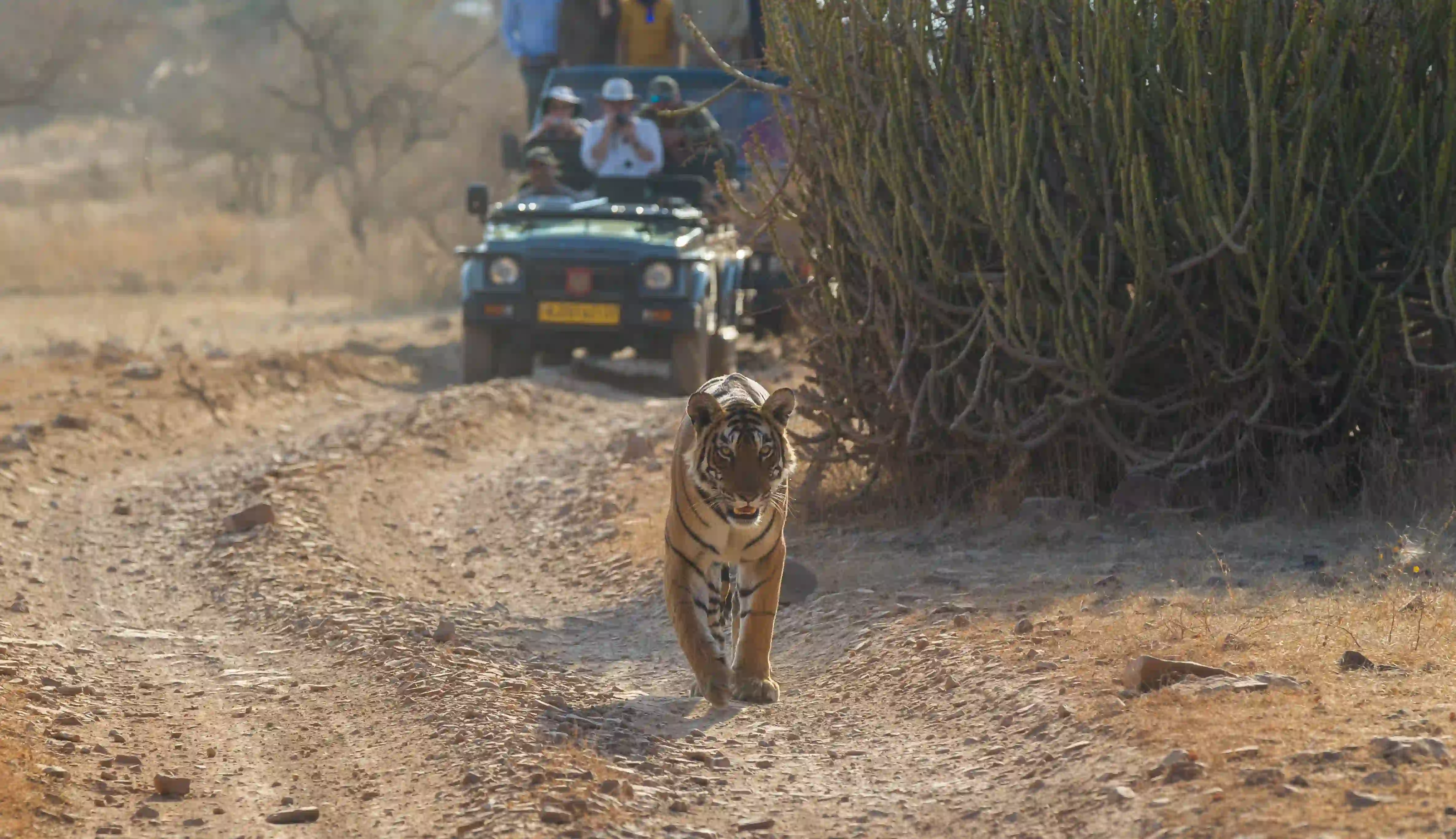 Delhi Agra Jaipur Ranthambore 7 Days Golden triangle tour