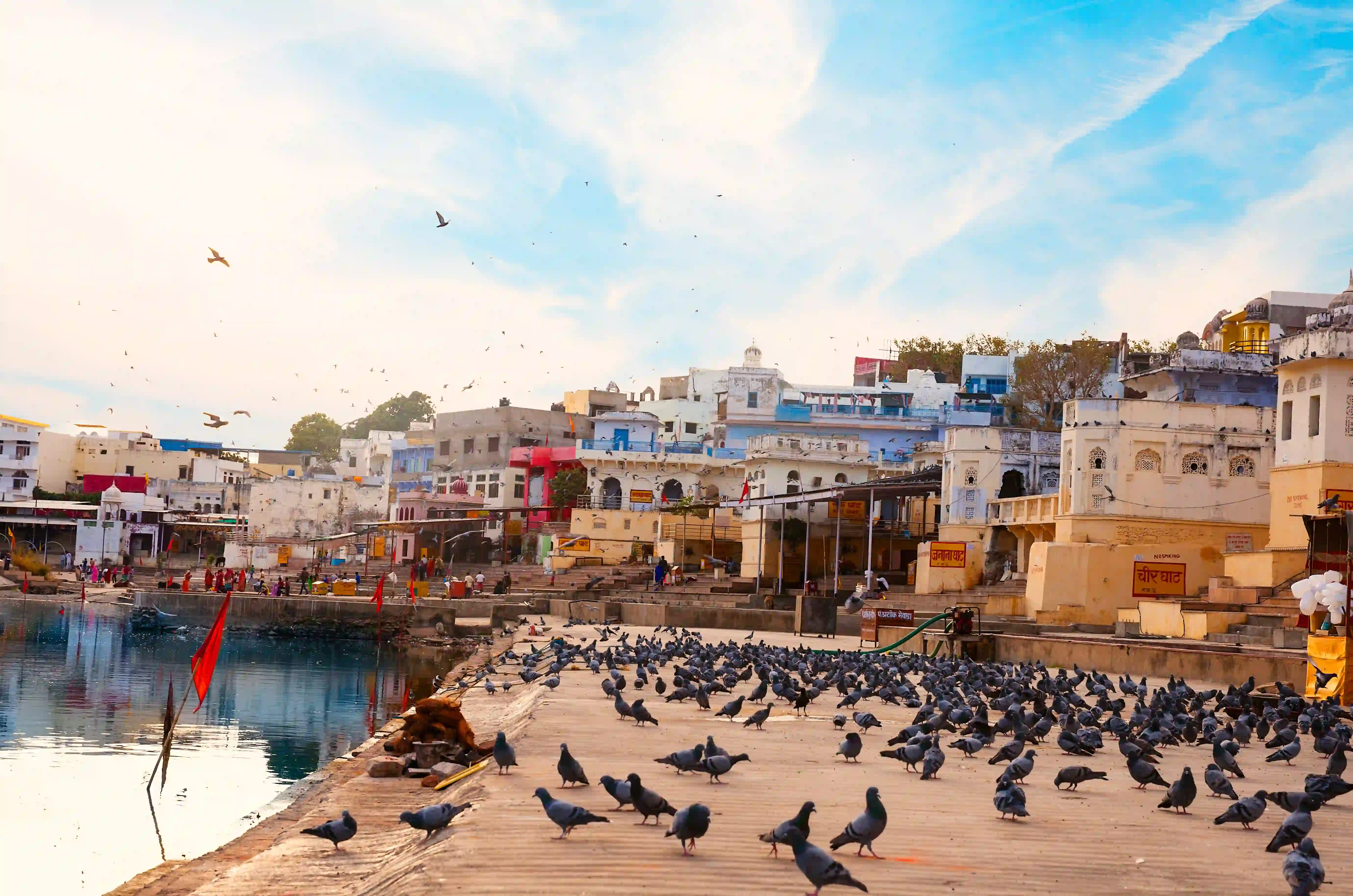 Golden triangle tour with Pushkar Jodhpur 8 Days